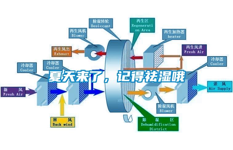夏天來了,記得祛濕哦