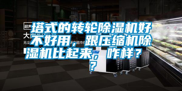 塔式的轉輪除濕機好不好用，跟壓縮機除濕機比起來，咋樣？ ？