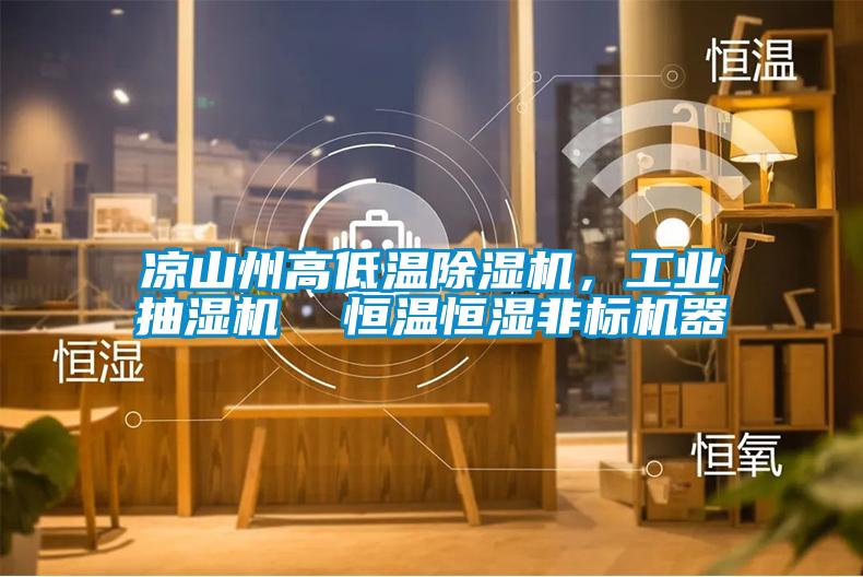 涼山州高低溫除濕機,工業抽濕機  恒溫恒濕非標機器