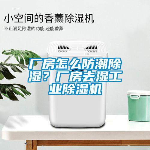 廠房怎么防潮除濕？廠房去濕工業除濕機