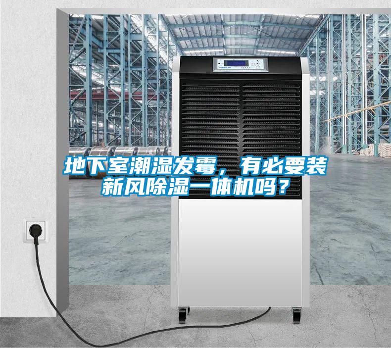 地下室潮濕發霉，有必要裝新風除濕一體機嗎？