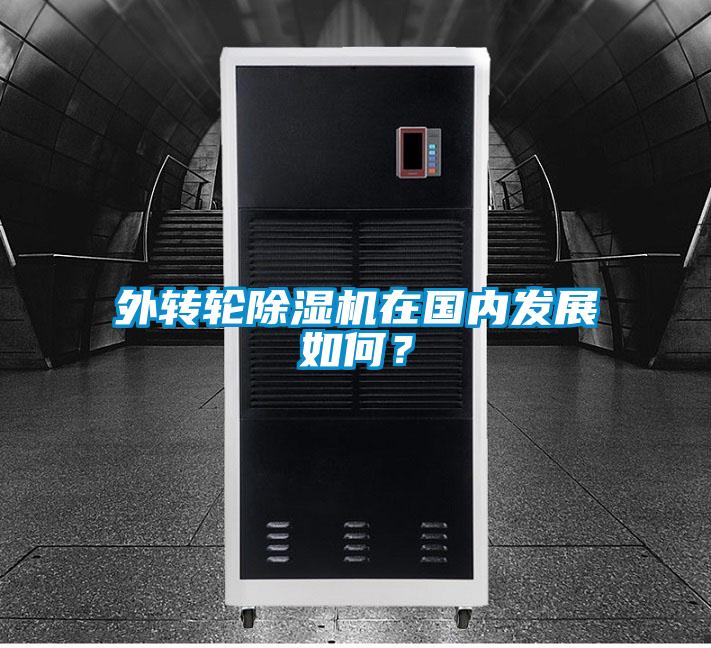 外轉(zhuǎn)輪除濕機(jī)在國內(nèi)發(fā)展如何？