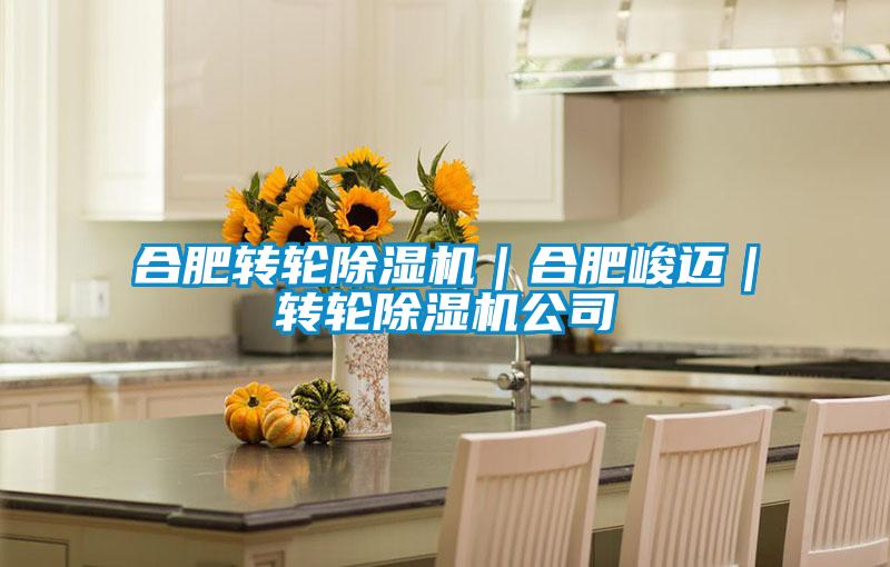 合肥轉輪除濕機|合肥峻邁|轉輪除濕機公司