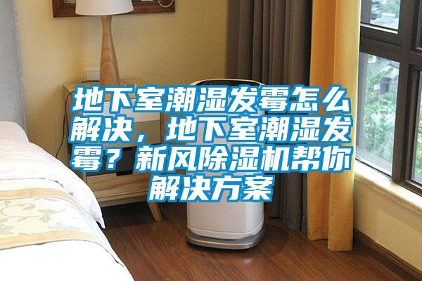 地下室潮濕發霉怎么解決，地下室潮濕發霉？新風除濕機幫你解決方案