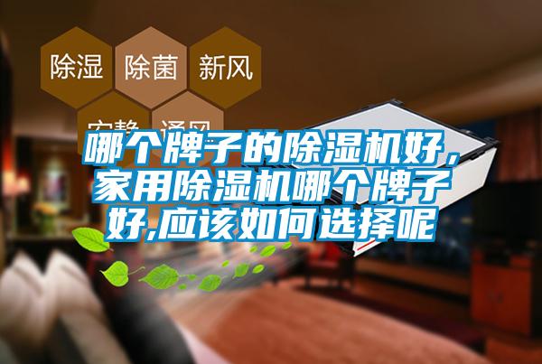 哪個牌子的除濕機好,家用除濕機哪個牌子好,應(yīng)該如何選擇呢