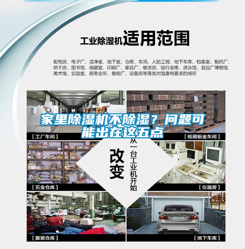 家里除濕機不除濕？問題可能出在這五點