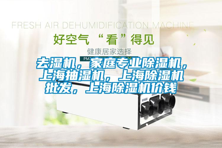 去濕機，家庭專業除濕機，上海抽濕機，上海除濕機批發，上海除濕機價錢