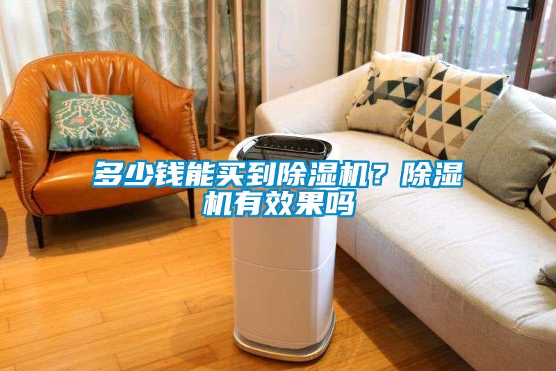 多少錢能買到除濕機？除濕機有效果嗎