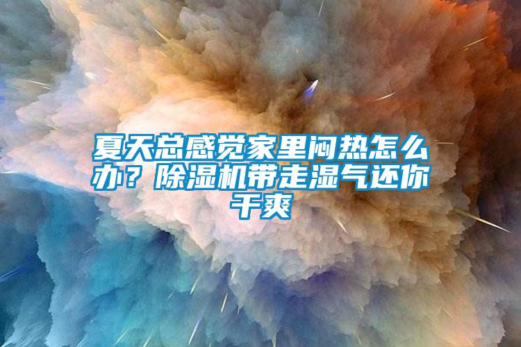 夏天總感覺家里悶熱怎么辦？除濕機(jī)帶走濕氣還你干爽