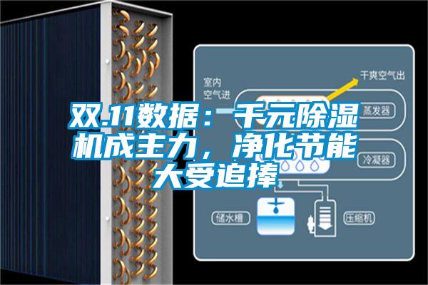 雙.11數據：千元除濕機成主力，凈化節能大受追捧