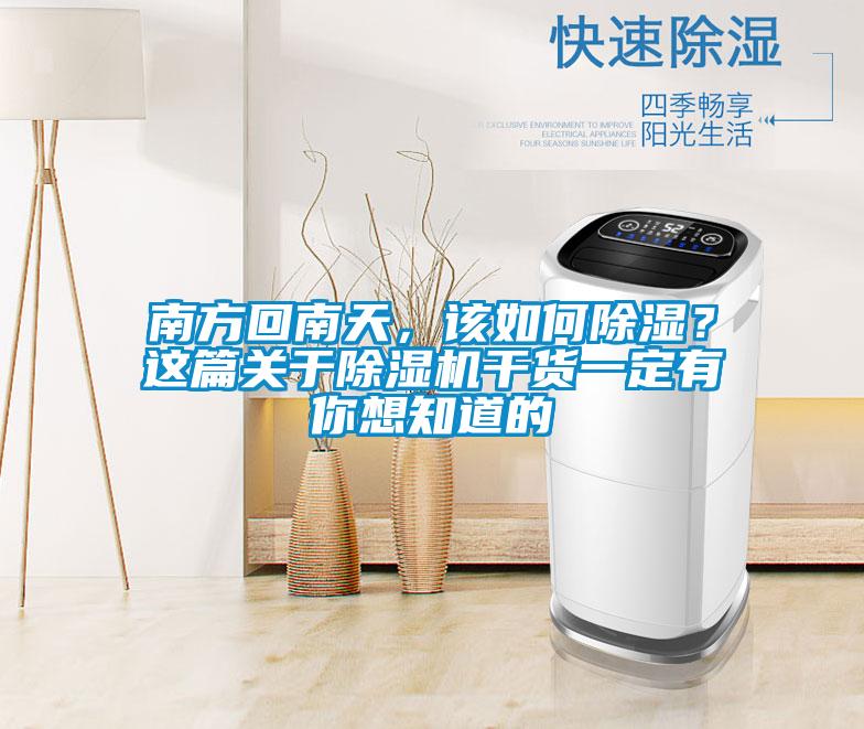 南方回南天，該如何除濕？這篇關于除濕機干貨一定有你想知道的