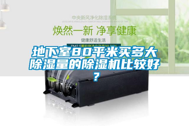 地下室80平米買多大除濕量的除濕機比較好？