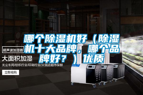 哪個除濕機好（除濕機十大品牌，哪個品牌好？）優質