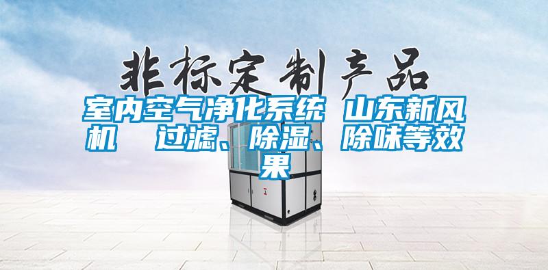 室內(nèi)空氣凈化系統(tǒng) 山東新風(fēng)機  過濾、除濕、除味等效果