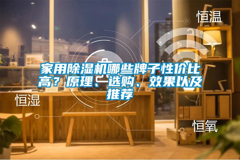 家用除濕機哪些牌子性價比高?原理、選購、效果以及推薦