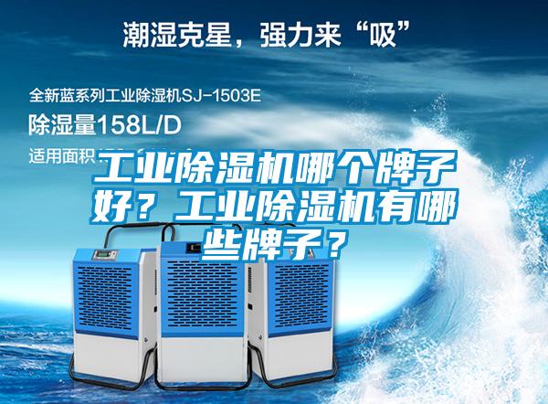 工業(yè)除濕機(jī)哪個(gè)牌子好？工業(yè)除濕機(jī)有哪些牌子？