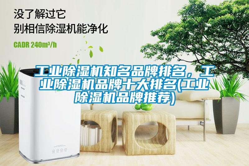 工業除濕機知名品牌排名,工業除濕機品牌十大排名(工業除濕機品牌推薦)