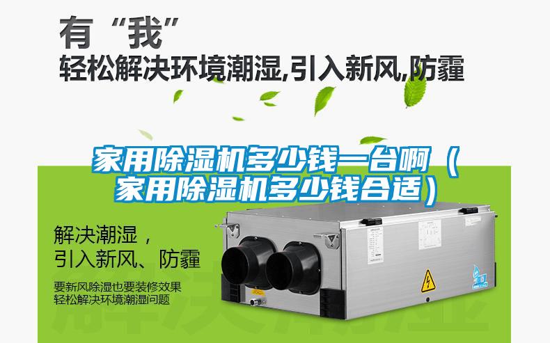 家用除濕機多少錢一臺啊(家用除濕機多少錢合適)