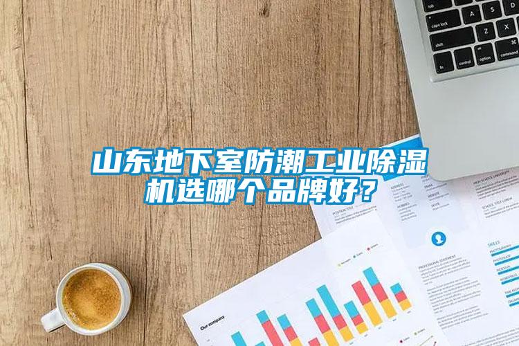 山東地下室防潮工業除濕機選哪個品牌好？