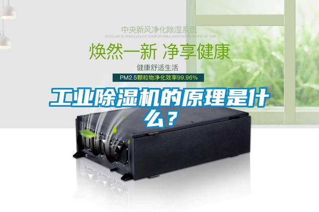 工業(yè)除濕機的原理是什么?