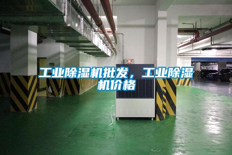 工業除濕機批發,工業除濕機價格