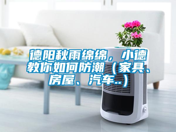 德陽(yáng)秋雨綿綿，小德教你如何防潮（家具、房屋、汽車(chē)..）