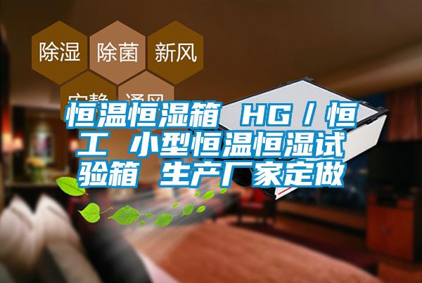 恒溫恒濕箱 HG/恒工 小型恒溫恒濕試驗箱 生產廠家定做
