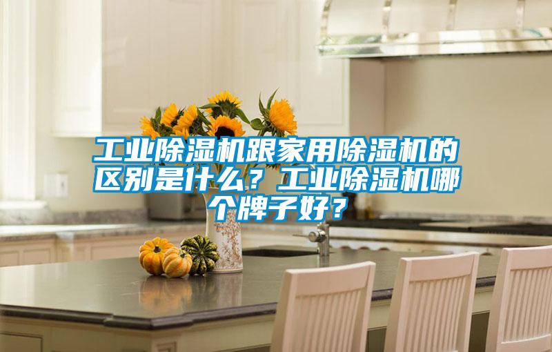 工業(yè)除濕機跟家用除濕機的區(qū)別是什么?工業(yè)除濕機哪個牌子好?