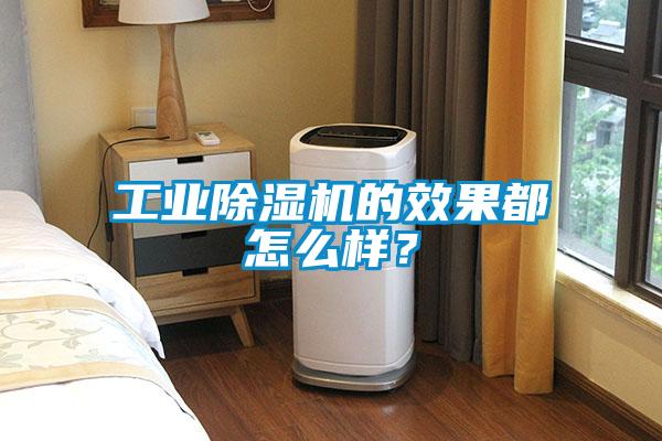 工業除濕機的效果都怎么樣?