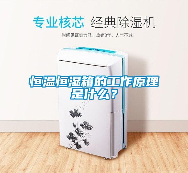 恒溫恒濕箱的工作原理是什么？