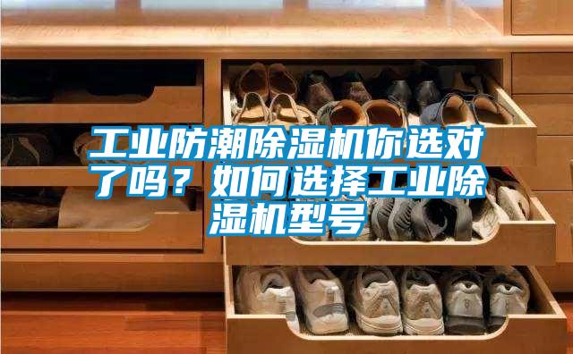 工業防潮除濕機你選對了嗎?如何選擇工業除濕機型號