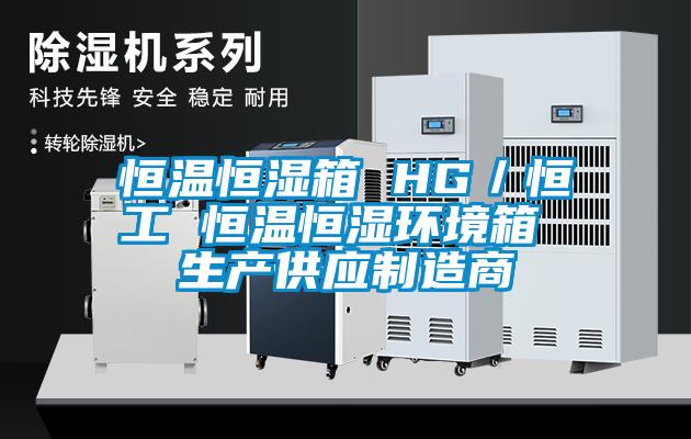 恒溫恒濕箱 HG/恒工 恒溫恒濕環境箱 生產供應制造商
