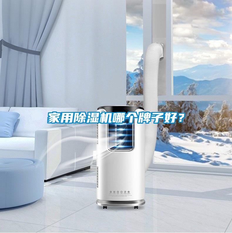 家用除濕機哪個牌子好?