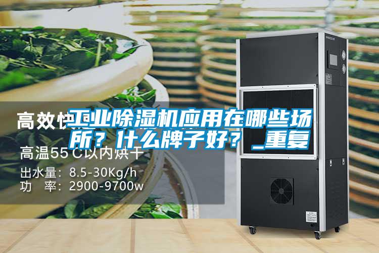 工業(yè)除濕機應(yīng)用在哪些場所？什么牌子好？_重復(fù)