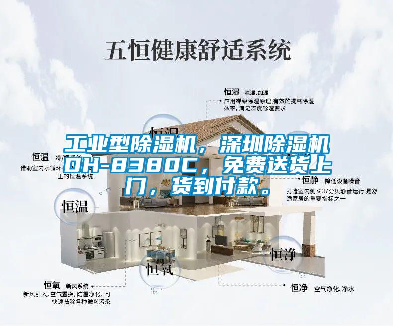 工業型除濕機，深圳除濕機DH-8380C，免費送貨上門，貨到付款。