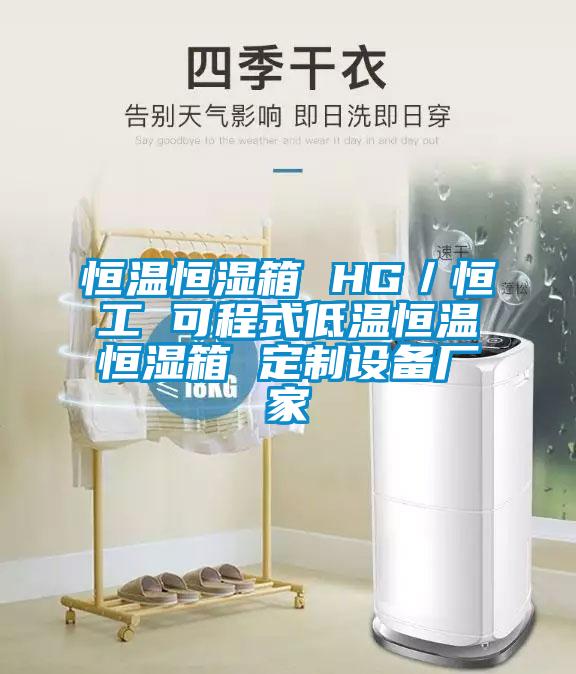 恒溫恒濕箱 HG/恒工 可程式低溫恒溫恒濕箱 定制設備廠家