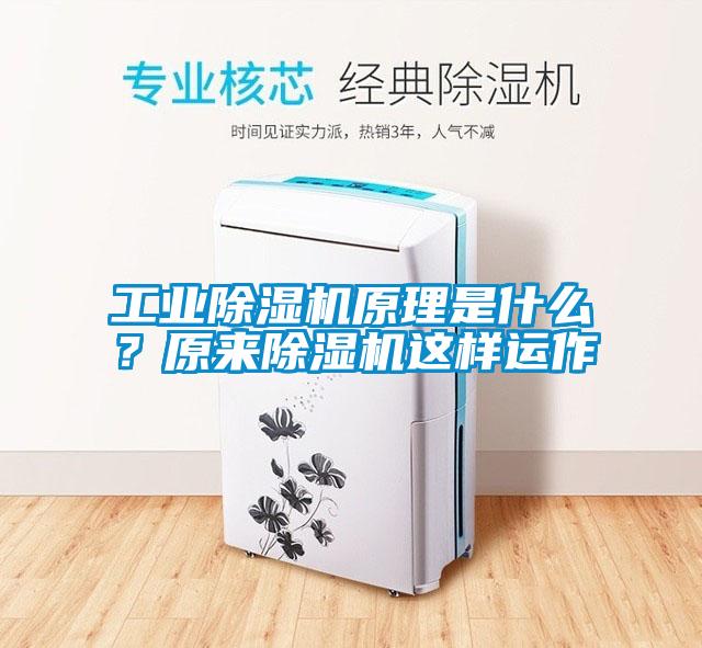 工業(yè)除濕機(jī)原理是什么?原來除濕機(jī)這樣運(yùn)作