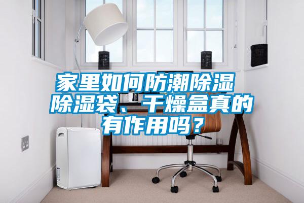 家里如何防潮除濕 除濕袋、干燥盒真的有作用嗎?