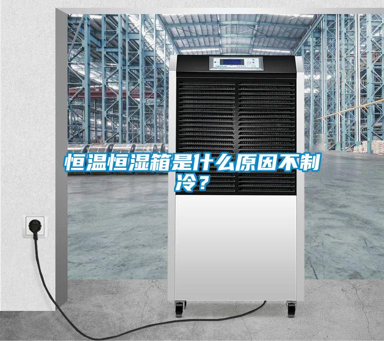 恒溫恒濕箱是什么原因不制冷？