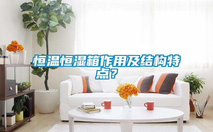 恒溫恒濕箱作用及結構特點?