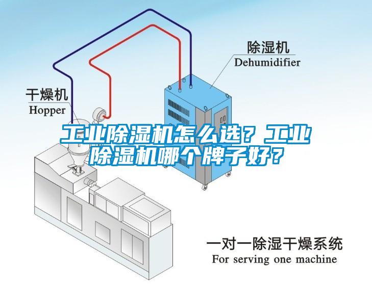 工業除濕機怎么選?工業除濕機哪個牌子好?