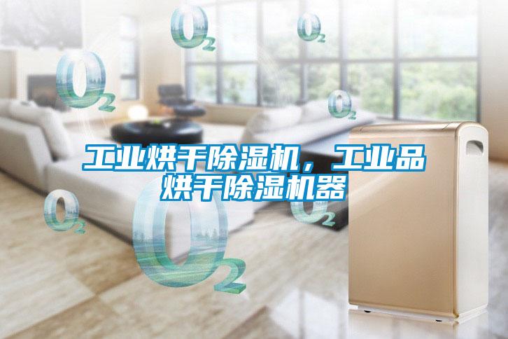工業烘干除濕機,工業品烘干除濕機器