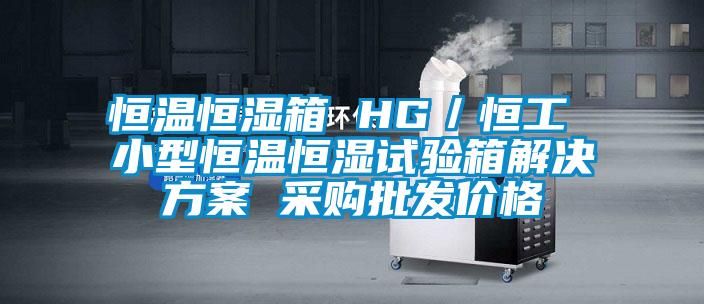 恒溫恒濕箱 HG/恒工 小型恒溫恒濕試驗箱解決方案 采購批發價格