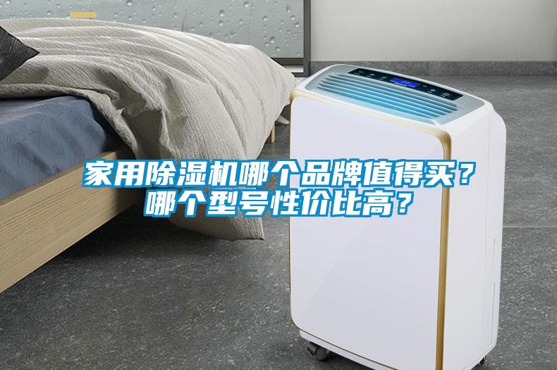 家用除濕機(jī)哪個(gè)品牌值得買？哪個(gè)型號(hào)性價(jià)比高？