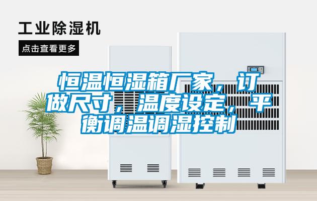 恒溫恒濕箱廠家，訂做尺寸，溫度設定，平衡調溫調濕控制