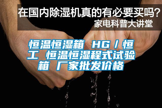 恒溫恒濕箱 HG/恒工 恒溫恒濕程式試驗箱 廠家批發價格