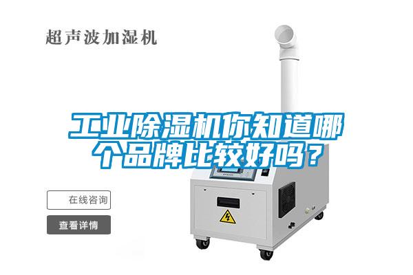 工業(yè)除濕機(jī)你知道哪個品牌比較好嗎?