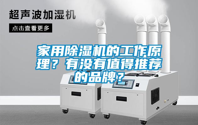 家用除濕機(jī)的工作原理？有沒有值得推薦的品牌？