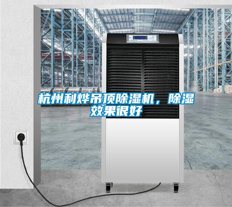 杭州利燁吊頂除濕機，除濕效果很好
