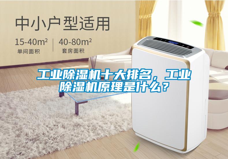 工業除濕機十大排名,工業除濕機原理是什么?